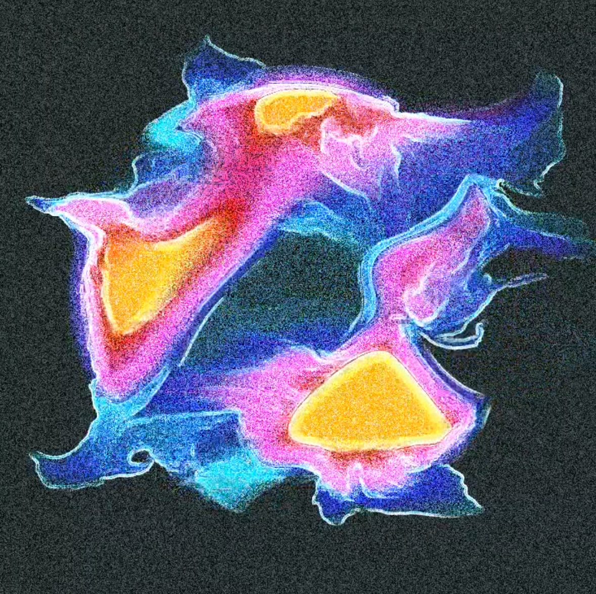 Fluid Motion Loop